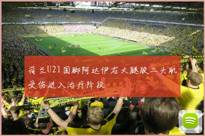荷兰U21国脚阿达伊右大腿股二头肌受伤进入治疗阶段