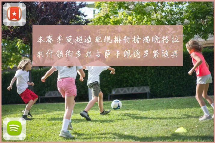 本赛季英超造犯规排行榜揭晓格拉利什领衔多尔古萨卡佩德罗紧随其后